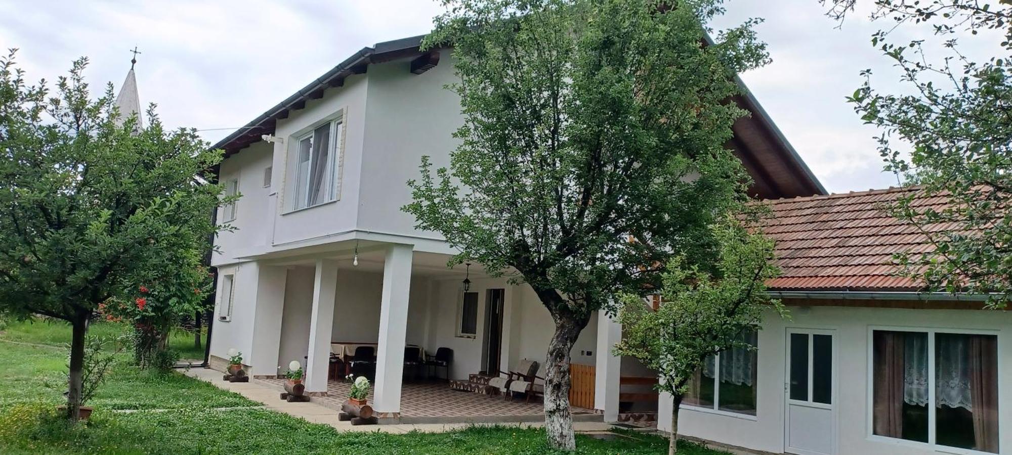 Cîrţişoara Casa Pandrea旅馆 外观 照片